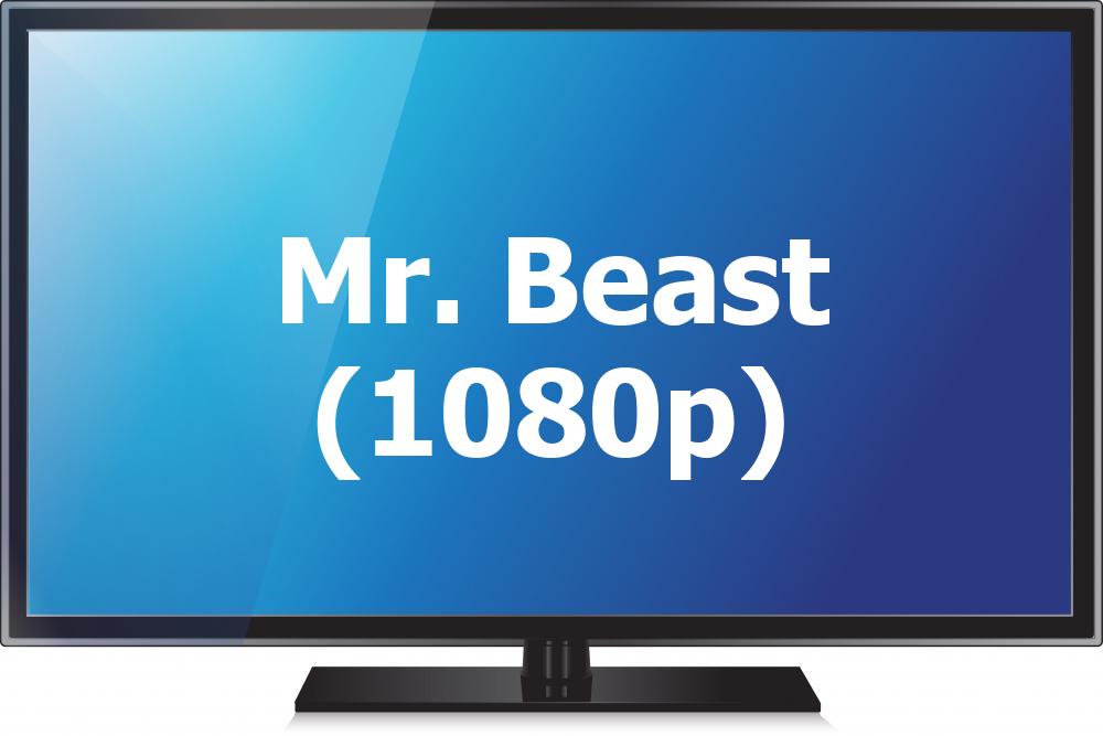 Mr. Beast (1080p)