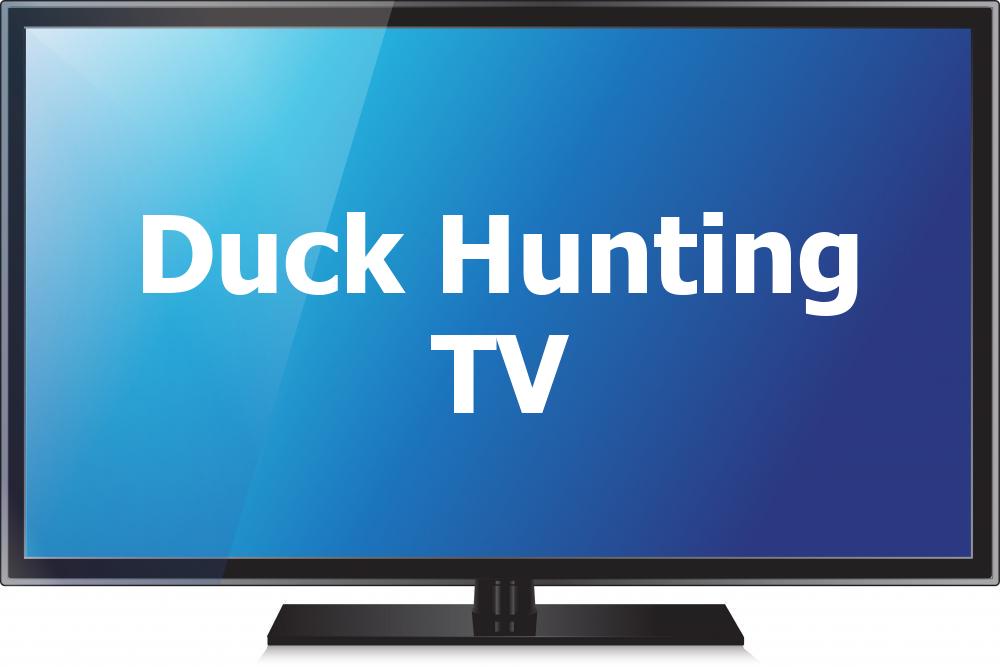 Duck Hunting TV