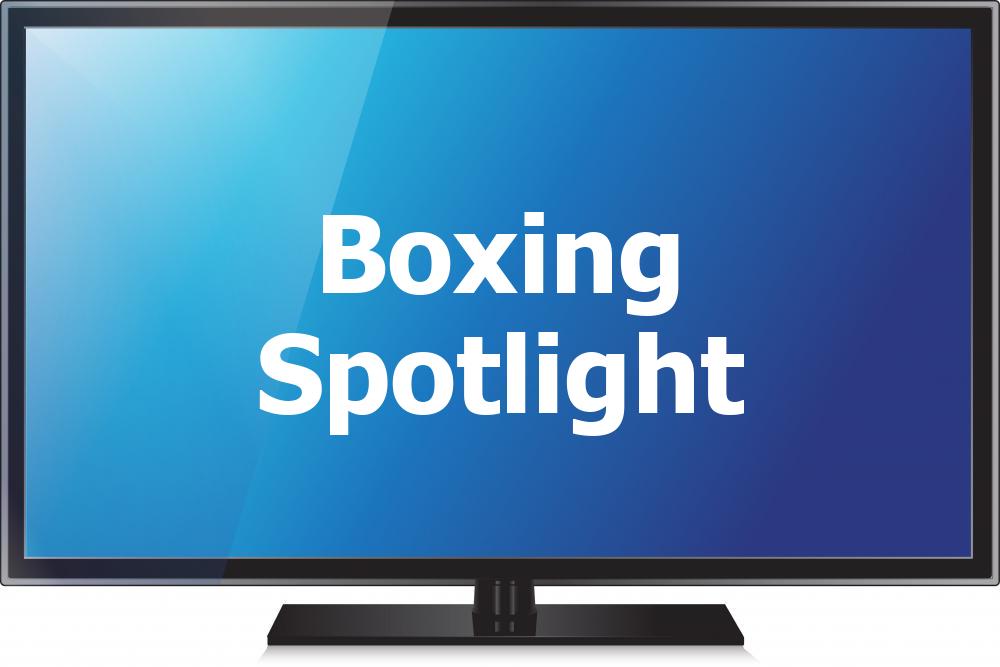 Boxing Spotlight Logo