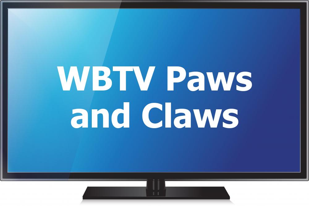 WBTV Paws and Claws [Geo-blocked]