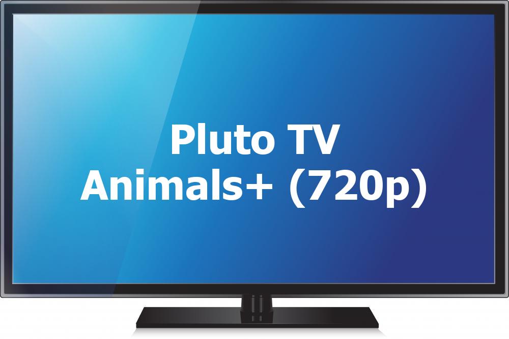 Pluto TV Animals+ (720p)